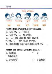 English Worksheet: Five Senses