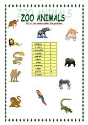 Zoo animals (find and write numbers and names!)