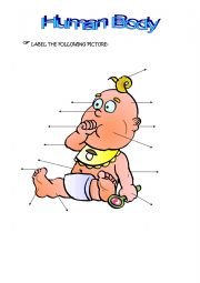 label the human body