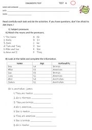 PRELIMINARY DIAGNOSTIC TEST