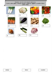 English Worksheet: Vegetables