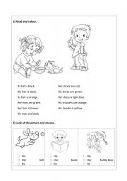 English Worksheet: Read and colour - his her its