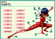 English Worksheet: Ladybug body parts