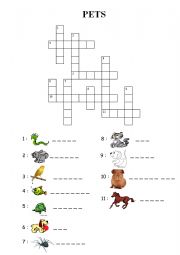 English Worksheet: pets