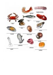 English Worksheet: Seafood vocabulary