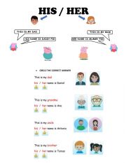 English Worksheet: HIS / HER