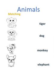 English Worksheet: Animals