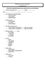 English Worksheet: BTS Working Placement Oral Presentation / Prsenter son stage en entreprise