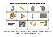 Animal Body Parts