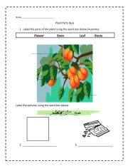 English Worksheet: Plant Parts Worksheet - Quiz