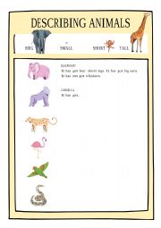 English Worksheet: Describing animals (Has got)