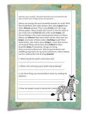 English Worksheet: reading comprehension about animals