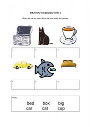 English Worksheet: Match CVC Words to Pictures