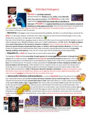 English Worksheet: Pathogens