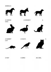 English Worksheet: ANIMALS 