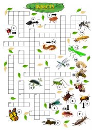Insects crossword