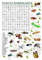 Insect Wordsearch