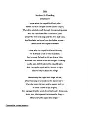 English Worksheet: Quiz