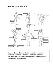 Human joint movements