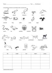 English Worksheet: Animals