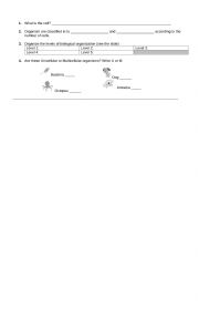 English Worksheet: Levels of organization