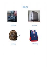 English Worksheet: bags