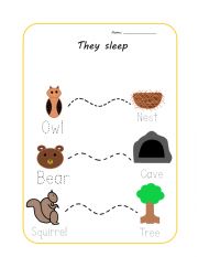 Hibernation tracing worksheet