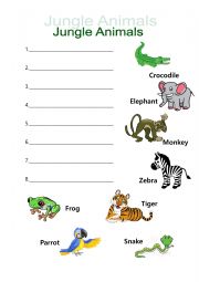English Worksheet: Jungle Animals