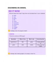 English Worksheet: Describing animals