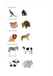 adjectives - comparatives - animals