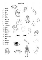 English Worksheet: Body bingo