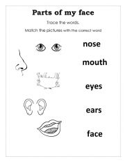 English Worksheet: parts of my face