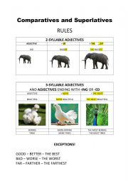 English Worksheet: Comparatives and Superlatives RULES