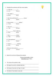 possessive and wh questions