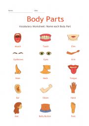 English Worksheet: Vocabulary Learning Body Part
