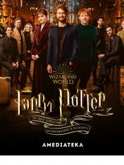 English Worksheet: Harry Potter
