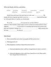 English Worksheet: Adaptation Vocabulary and Activity