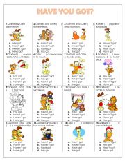 English Worksheet: HAVE YOU GOT?
