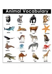 English Worksheet: Animals