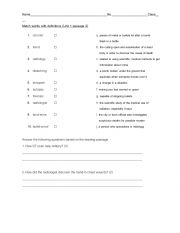 English worksheet: mathcing word