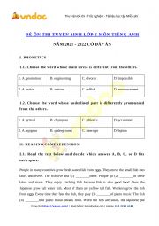 English Worksheet: Đề kiểm tra