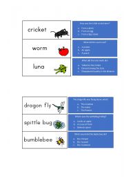 English Worksheet: The Very Quiet Cricket Comprehension 