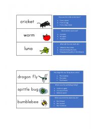 The Very Quiet Cricket Comprehension 