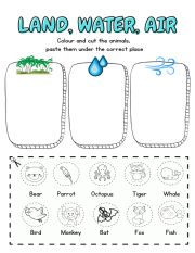 English Worksheet: LAND, AIR, WATER ANIMALS