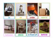 Prepositions of the place flashcards