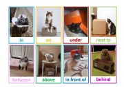 English Worksheet: Prepositions of the place flashcards