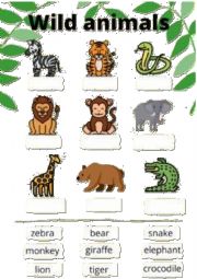English Worksheet: animals