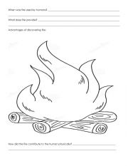 English Worksheet: Cooking