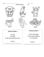 English Worksheet: Animal Riddles