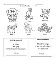 Animal Riddles